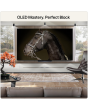 LG OLED83C66LB.AEK 83-inch 4K OLED Smart TV