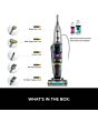 Shark CarpetXpert HairPro Pet Deep Carpet Cleaner with Built-In StainStriker - Charcoal & Fuchsia