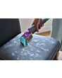 Shark CarpetXpert HairPro Pet Deep Carpet Cleaner with Built-In StainStriker - Charcoal & Fuchsia