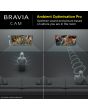 Sony CMUBC1_CE7 Bravia Web Cam