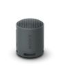 Sony SRSXB100B_CE7 Compact Bluetooth Wireless Speaker - Black