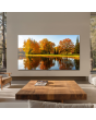 TCL 55C8L-UK 55inch 4K QD-Mini LED HDR Google TV