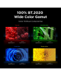 TCL 85RM9L-UK 85 inch 4K Ultra HD Mini LED TV