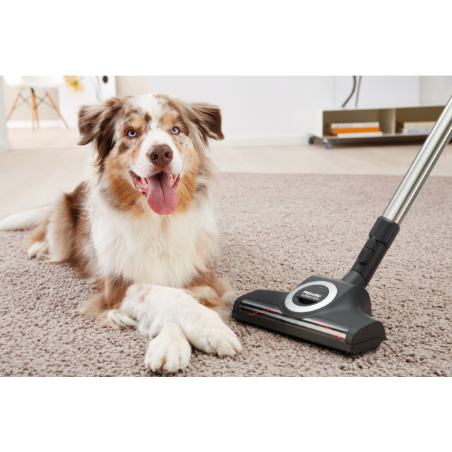 Miele CX1BLIZ_CAT_DOG Blizzard Comfort Cat & Dog Cylinder Vacuum Cleaner - Grey