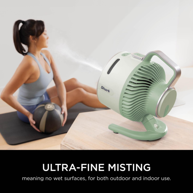 Shark FA050UKGN FlexBreeze TableMate Portable Fan