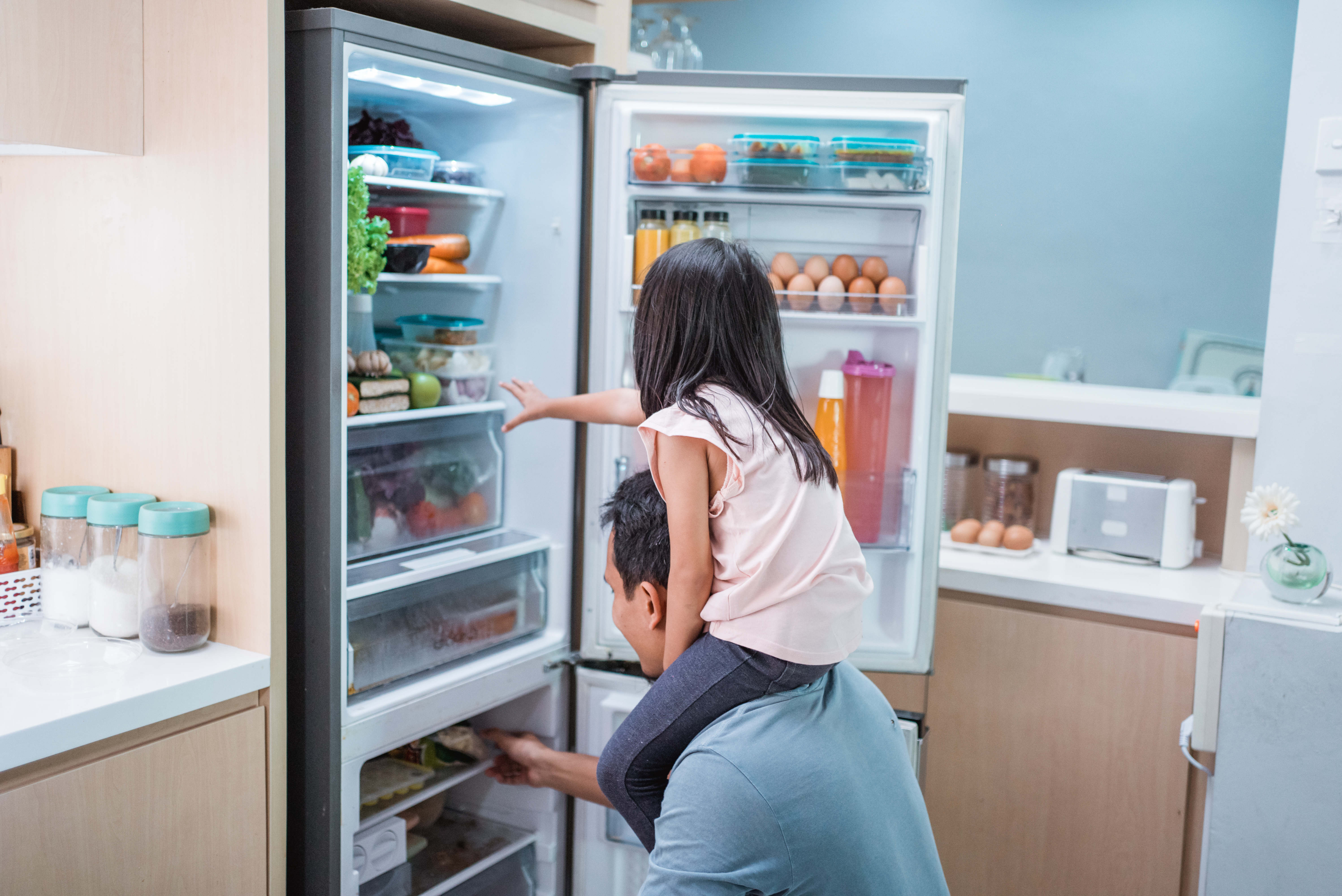 Choosing a Larder Fridge: Benefits for Busy Families